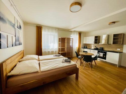 Kuchyň nebo kuchyňský kout v ubytování Apartmány Javorná