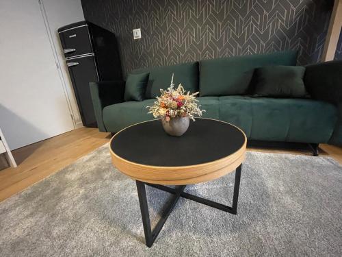 Posezení v ubytování Apartmány Javorná