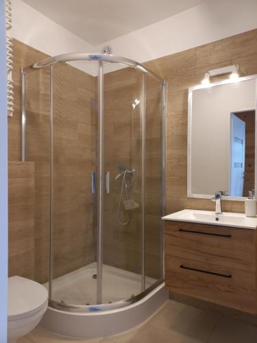 a bathroom with a shower with a toilet and a sink at Dom Piotra in Goniadz