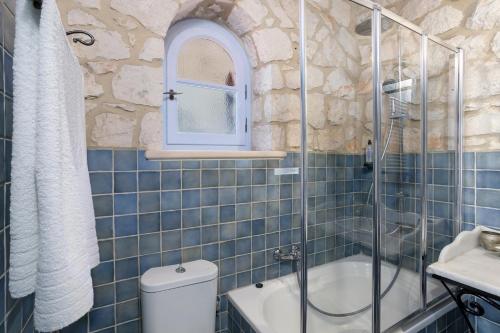 a bathroom with a shower and a toilet and a sink at Aresti Mountain Resort in Agios Leon