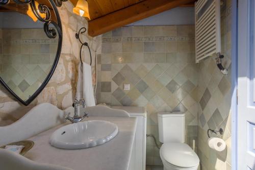 a bathroom with a sink and a toilet and a mirror at Aresti Mountain Resort in Agios Leon