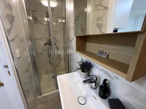 une salle de bain avec un lavabo et une douche dans l'établissement Villa Paradis Étoilé luxe & 4, à Nice