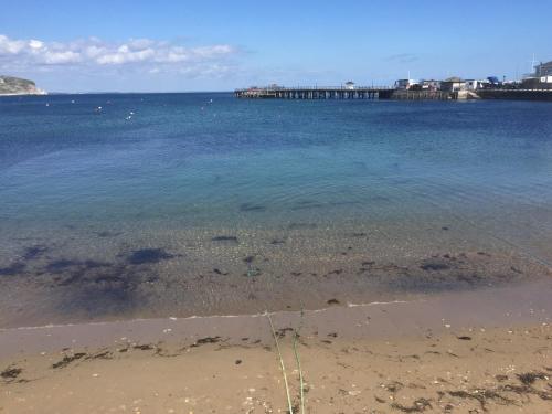 a large body of water with a pier in the background at Ocean view in Swanage