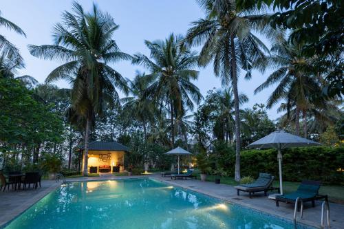 una piscina con sillas y sombrillas y palmeras en The Mangifera, en Bandipūr