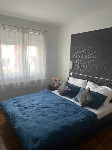 Haus Jelena Appartement 1