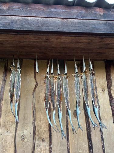 a row of feathers hanging on a wooden bench at Muhu Kulla Saadu puhkemaja mere ääres in Raugi