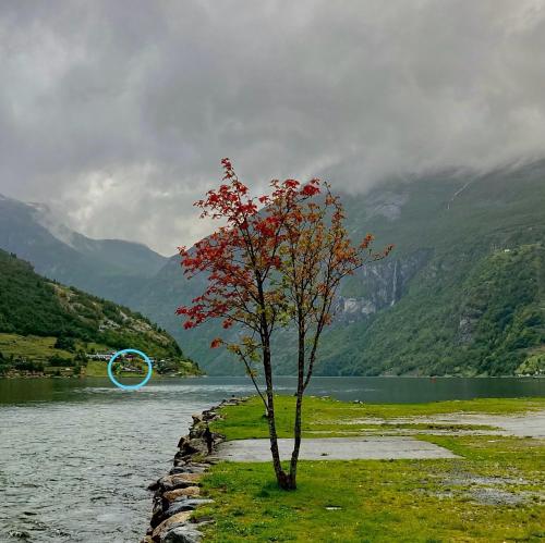 Gallery image of Fjorden Campinghytter in Geiranger