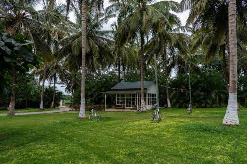 Jardín al aire libre en The Mangifera