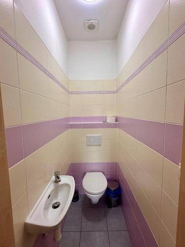 a bathroom with a toilet and a sink at Penzion Piller in Chvalín