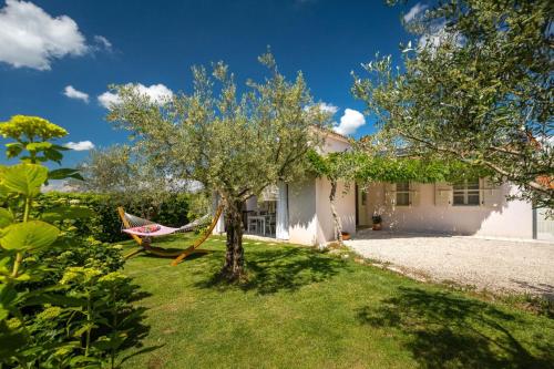 a hammock hanging from a tree in a yard at Beautiful Villa GF25 with pool in Visnjan in Višnjan