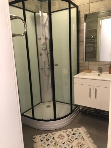 une salle de bain avec douche et lavabo dans l'établissement F2 dans les hauteurs de Royat, à Royat