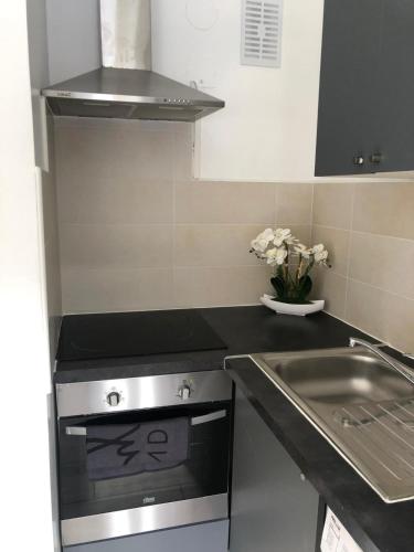 une cuisine avec une cuisinière et un évier dans l'établissement F2 dans les hauteurs de Royat, à Royat