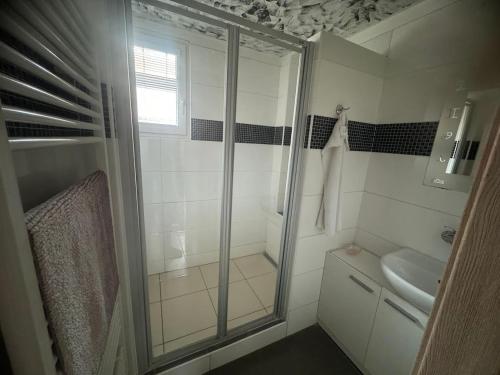 a bathroom with a shower and a sink at Chalupa Dešná in Dešná