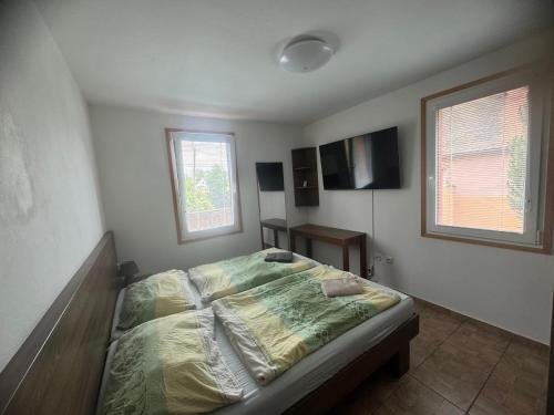 a bedroom with a bed and two windows at Chalupa Dešná in Dešná