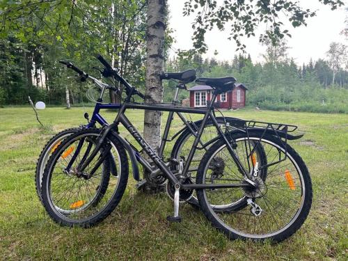 a bike parked next to a tree in a field at Salu summer cottage in Vadi