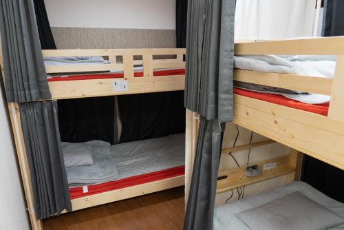 a group of bunk beds in a room at いちょう坂ゲストハウス in Mito