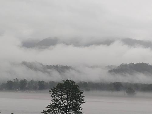 a tree in front of a body of water with clouds at Unio Mystica in Rishīkesh