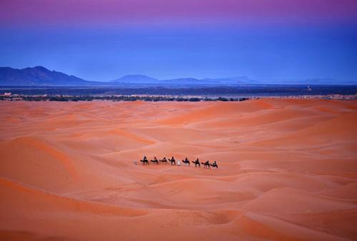 un groupe de personnes faisant du cheval à travers le désert dans l'établissement Opulent Sahara Camp, à Merzouga