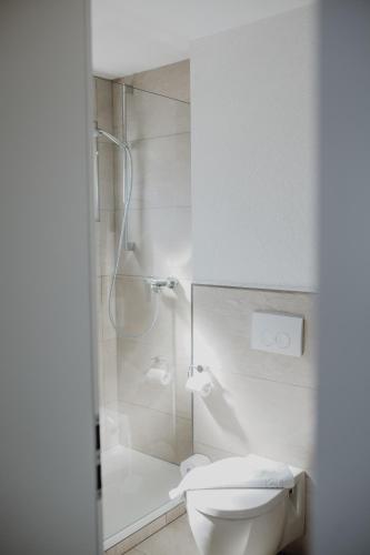 a white bathroom with a shower and a toilet at Hotel Dreieich in Langen
