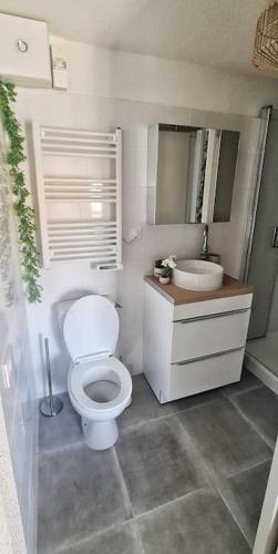 une salle de bain avec des toilettes blanches et un lavabo dans l'établissement 4-Pieds Cité - Barbacane - Historique - Romantique - Clim, à Carcassonne