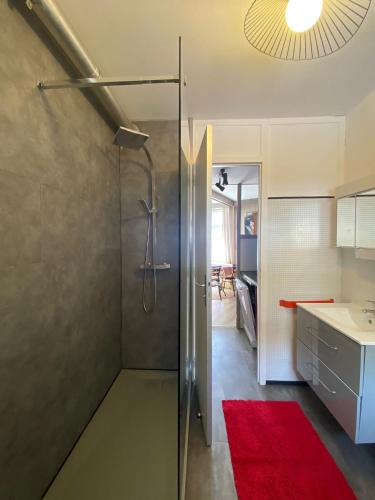 une salle de bain avec douche et un tapis rouge dans l'établissement La Mongie - T2 4 à 6 personnes, 45m2 face aux pistes, à Bagnères-de-Bigorre