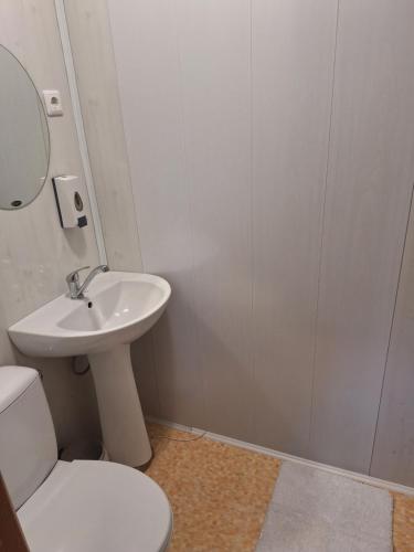 ein Badezimmer mit einem weißen WC und einem Waschbecken in der Unterkunft Svirnelis in Medsėdžių
