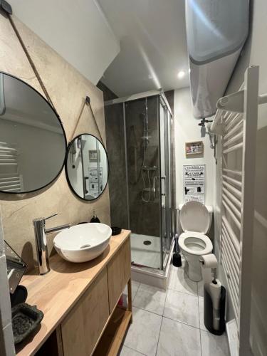 une salle de bain avec un lavabo, des toilettes et une douche dans l'établissement Côté Médicis - Cosy appartement au coeur de Blois, à Blois