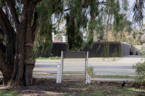 a white fence next to a tree next to a tree at Riverside Retreat in Orford in Orford