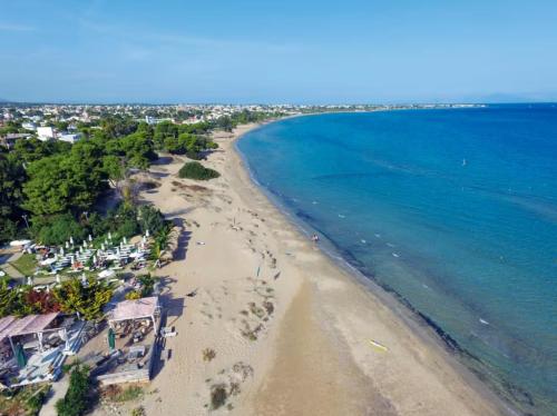 Nelli's Home near the airport, sea and port