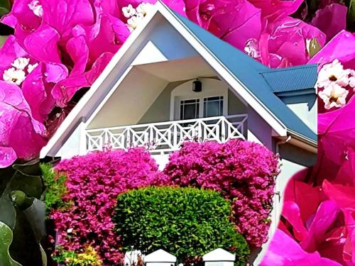 una casa con flores rosas delante de ella en Fleur du Soleil Luxury Guesthouse en Franschhoek