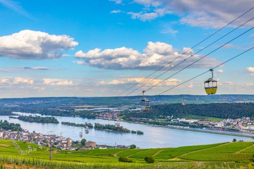 a view of a river with a cable car at LaBed - Ferienwohnung auf Weingut mit privater Terrasse, zentral gelegen, gratis WLAN in Rüdesheim am Rhein