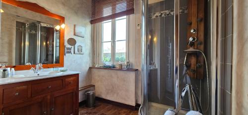 une salle de bain avec douche et lavabo dans l'établissement Le Congrès - Centre Ville - Terrasse, au Mans