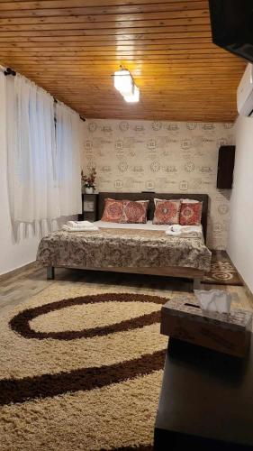 a bedroom with a large bed and a rug at Casa Remus in Sulina