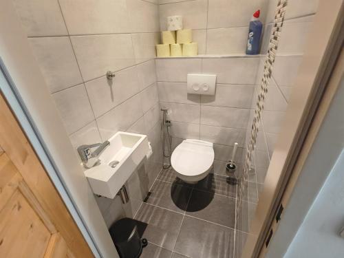A bathroom at Leopoldauer Apartment