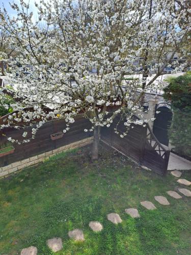 un arbre avec des fleurs blanches dans une cour dans l'établissement 3 pièces avec jardin 20mn de Paris, à Antony