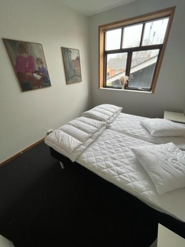 a bed in a room with a window and a dog at Folsted - Værelse 105 fri parkering in Bindslev