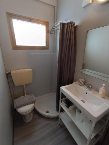 a bathroom with a toilet and a sink and a mirror at Villaggio Turistico dei Tigli in Padenghe sul Garda