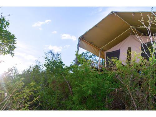 a tent that is sitting in the bushes at Wigot Gardens Hotel in Kisumu
