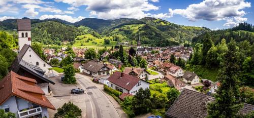 an aerial view of a small town in the mountains at Ferienwohnung am Letzberg in Schönau im Schwarzwald