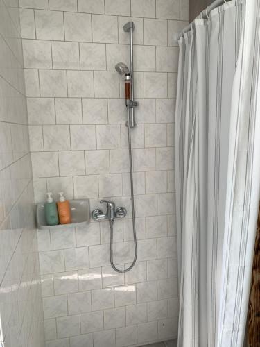 łazienka z prysznicem z zasłoną prysznicową w obiekcie Lesanka w mieście Všelibice