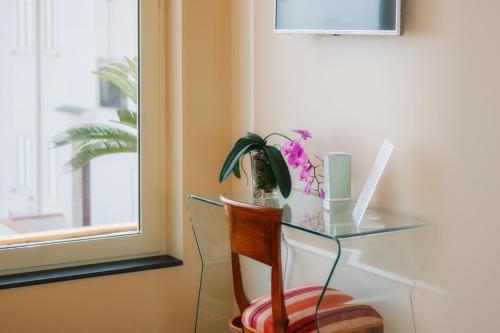 a glass desk with a plant and a laptop at La Risacca Relais in Belvedere Marittimo
