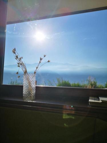 a vase on a window sill with a view of the ocean at Biogasthaus Plonerhof in Bressanone