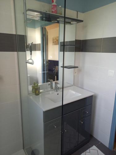 a bathroom with a sink and a glass shower at la serenité in Saint-Vivien-de-Monségur