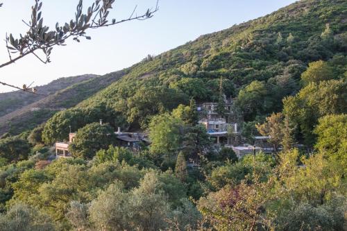 a house on a hill in the mountains at Μilia Mountain retreat in Vlátos
