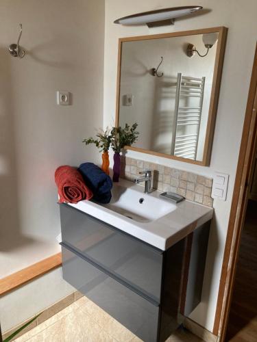 une salle de bain avec un lavabo et un miroir dans l'établissement Gîte Bergerie des Mougères, à Galargues
