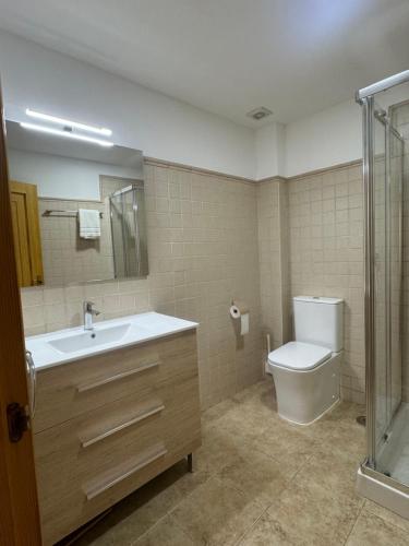a bathroom with a sink and a toilet at Camiño da Vila in Redondela