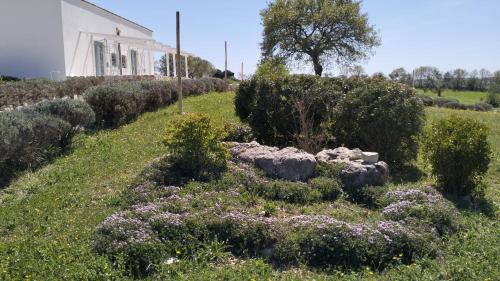 Κήπος έξω από το Trullo Dimora Podere Papilio