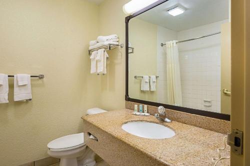 a bathroom with a sink and a toilet and a mirror at Quality Inn & Suites NRG Park - Medical Center in Houston
