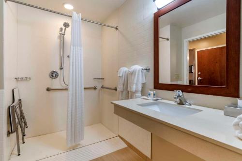 een badkamer met een wastafel en een douche bij Comfort Suites Manheim - Lancaster in Manheim