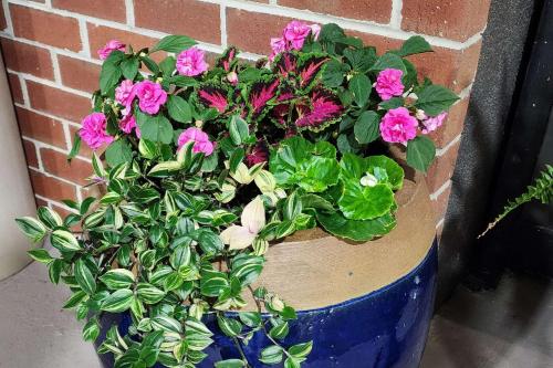 a blue pot filled with pink flowers next to a brick wall at Quality Inn Dublin I-81 in Dublin